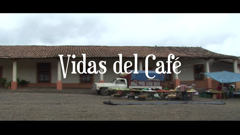 Vidas del cafe. Regiones cafetaleras de Veracruz.